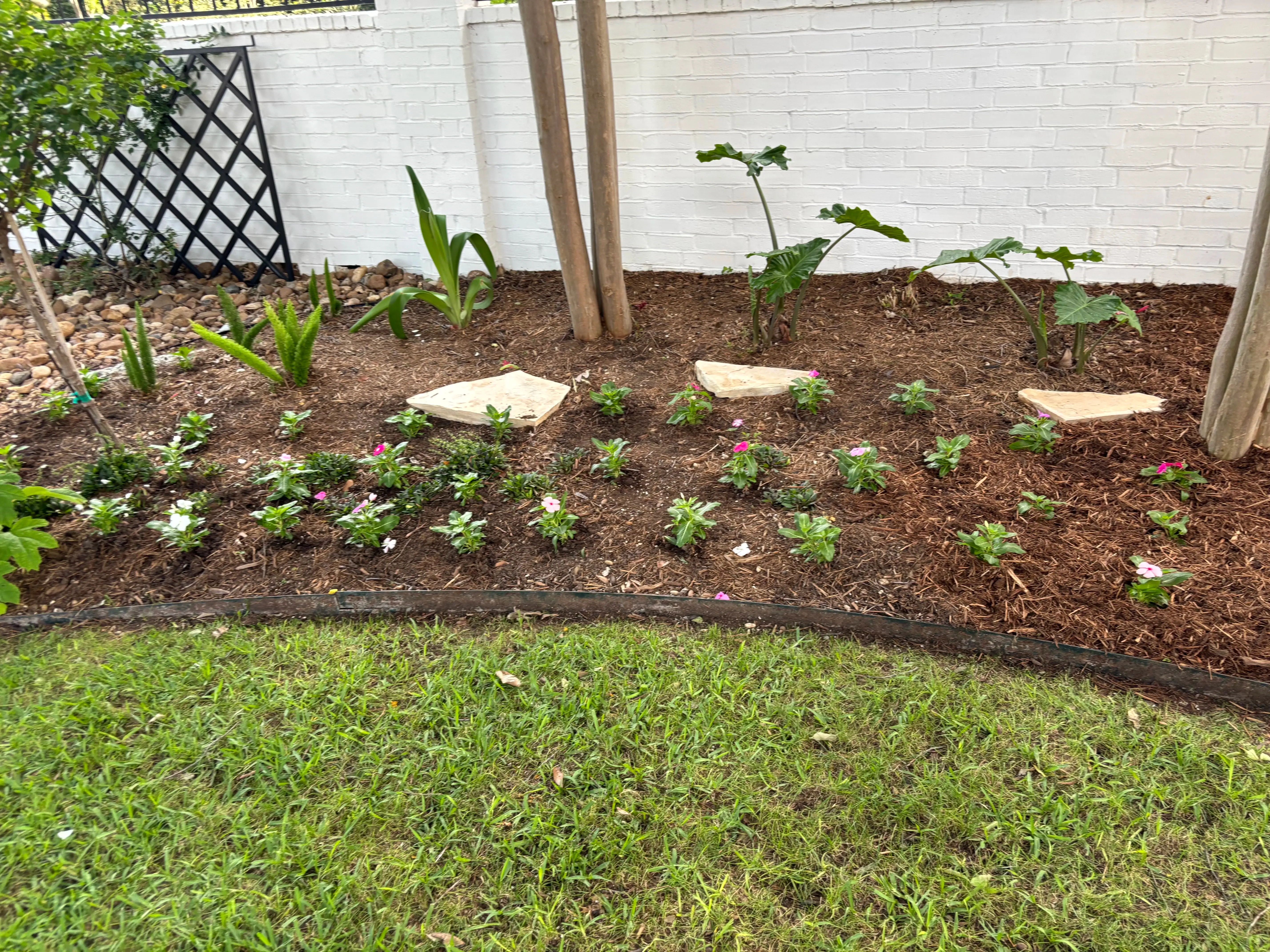 Flower bed with stones and small trees