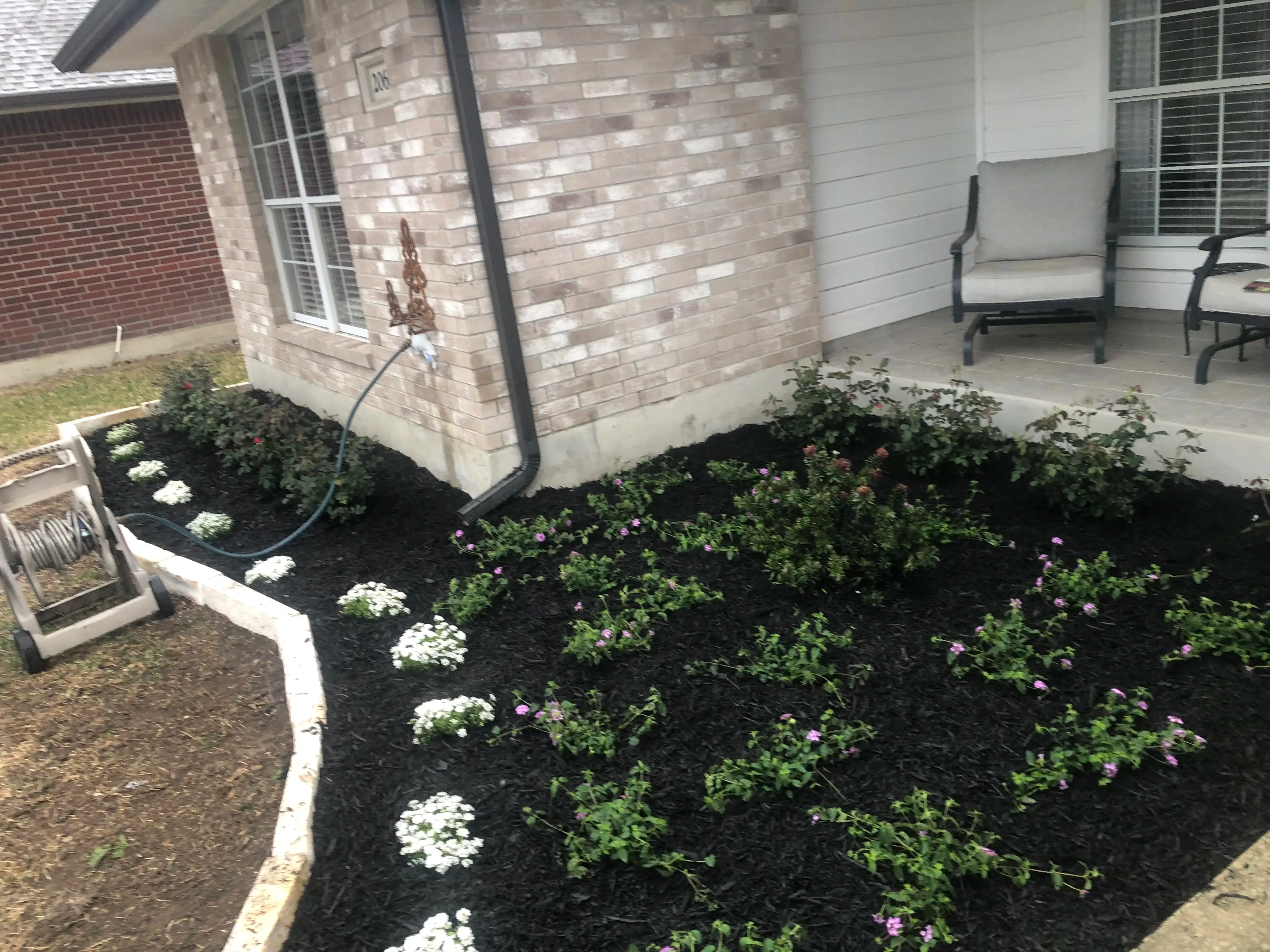 Flower bed in a mulch area in front of a house
