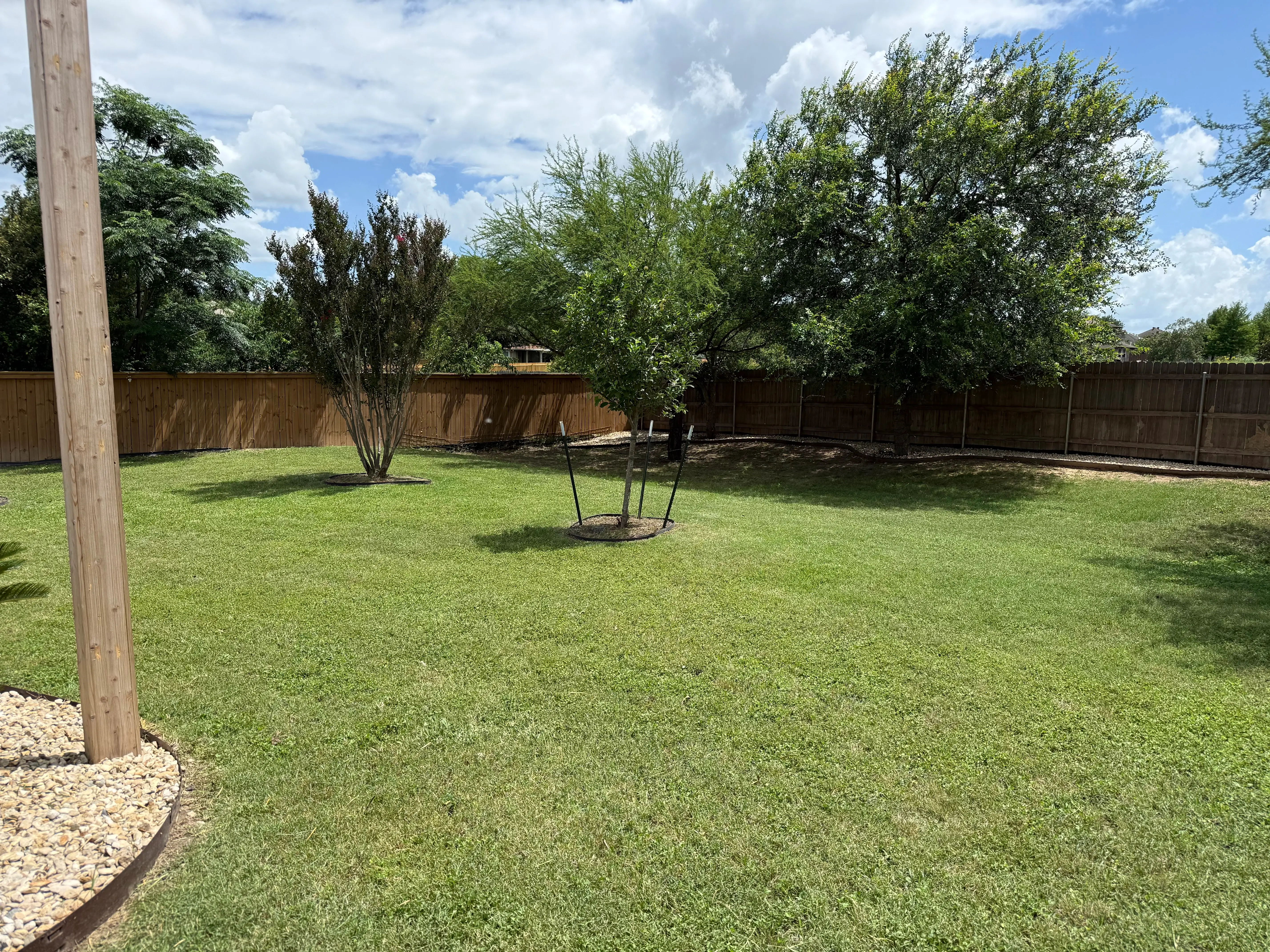 Well maintained backyard in the afternoon sun
