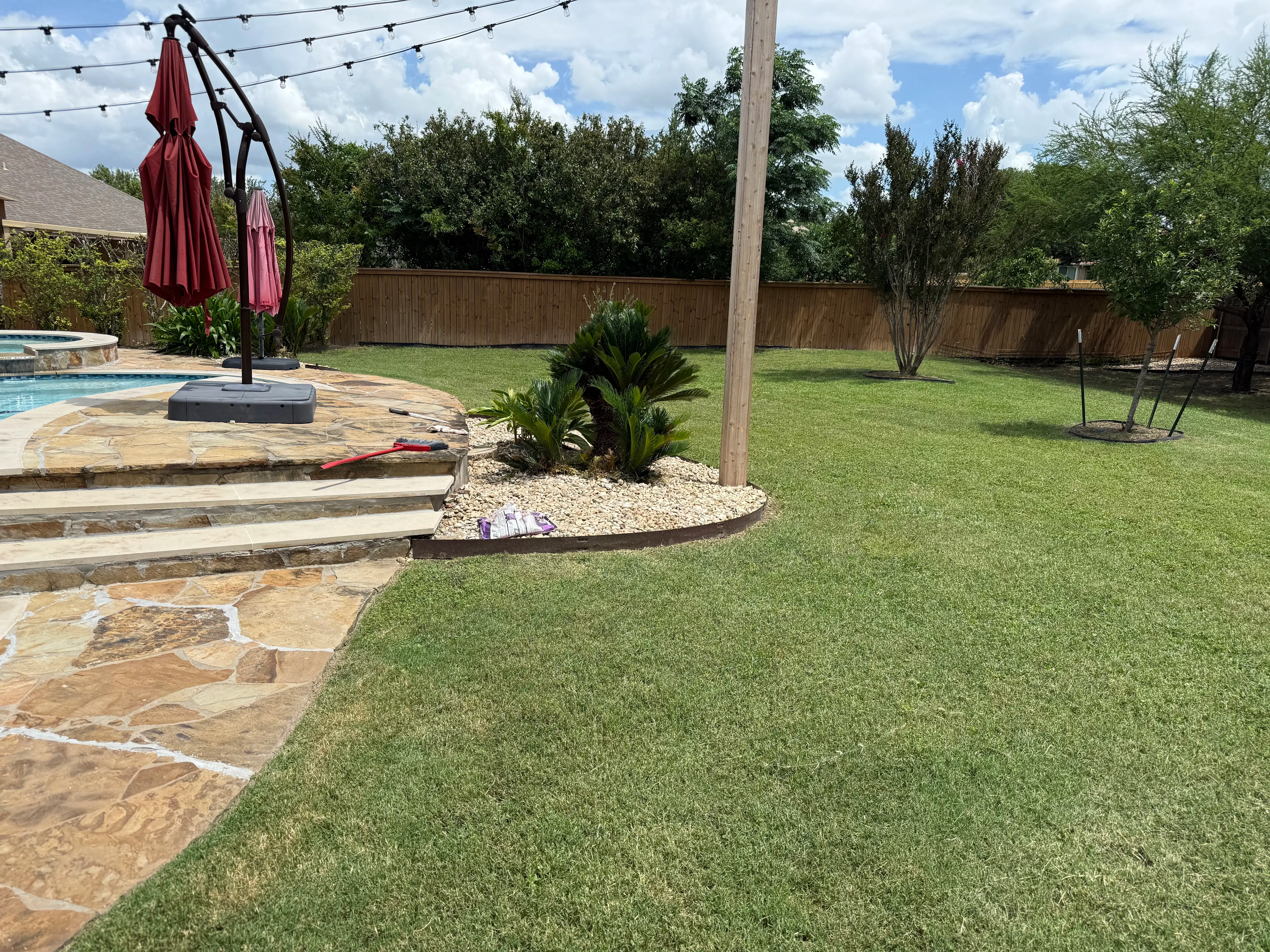 Backyard with mowed grass and trimmed trees