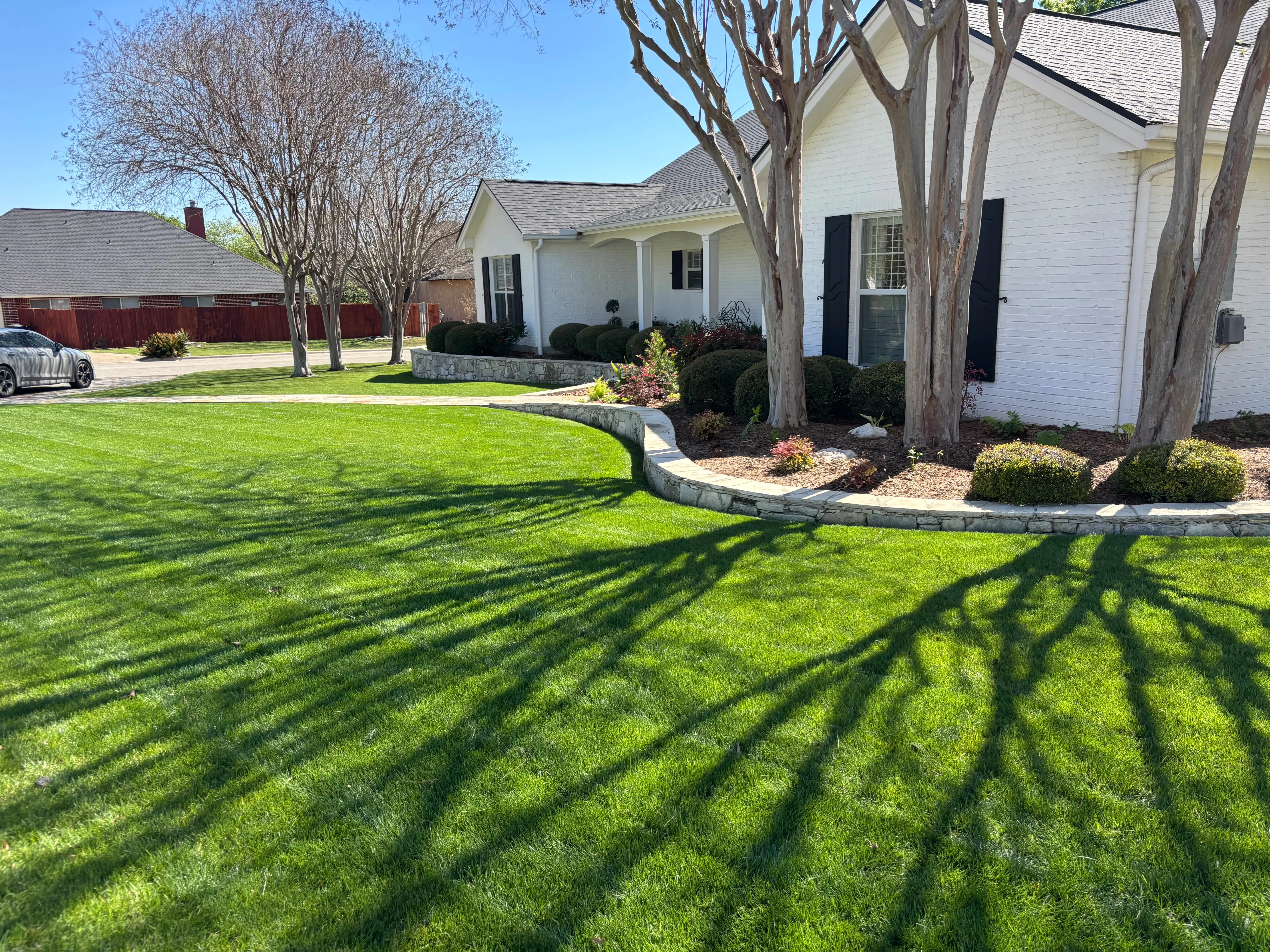 Shady front yard with freshly mowed grass in the morning sun.