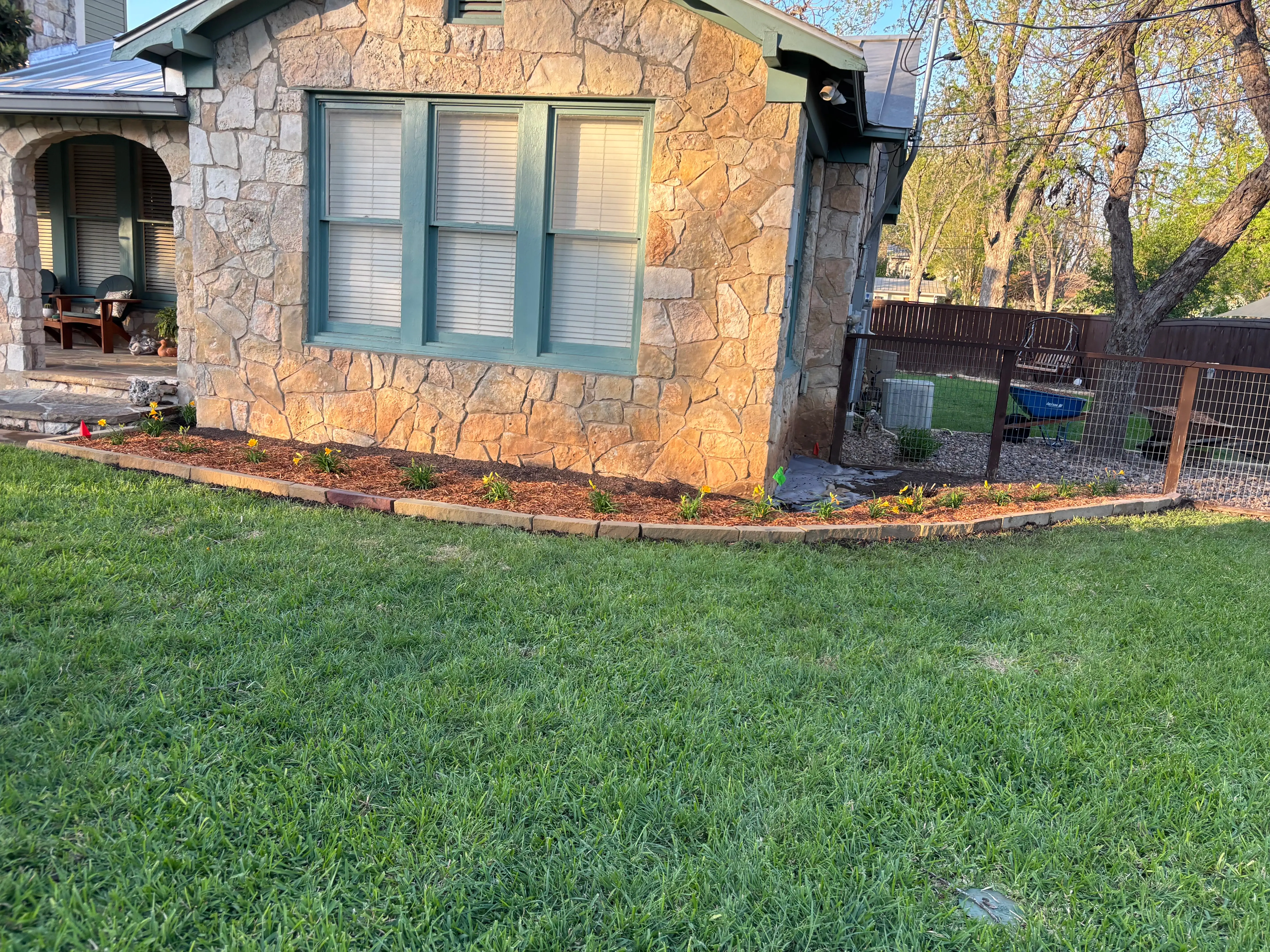 Well trimmed lawn in the evening sun