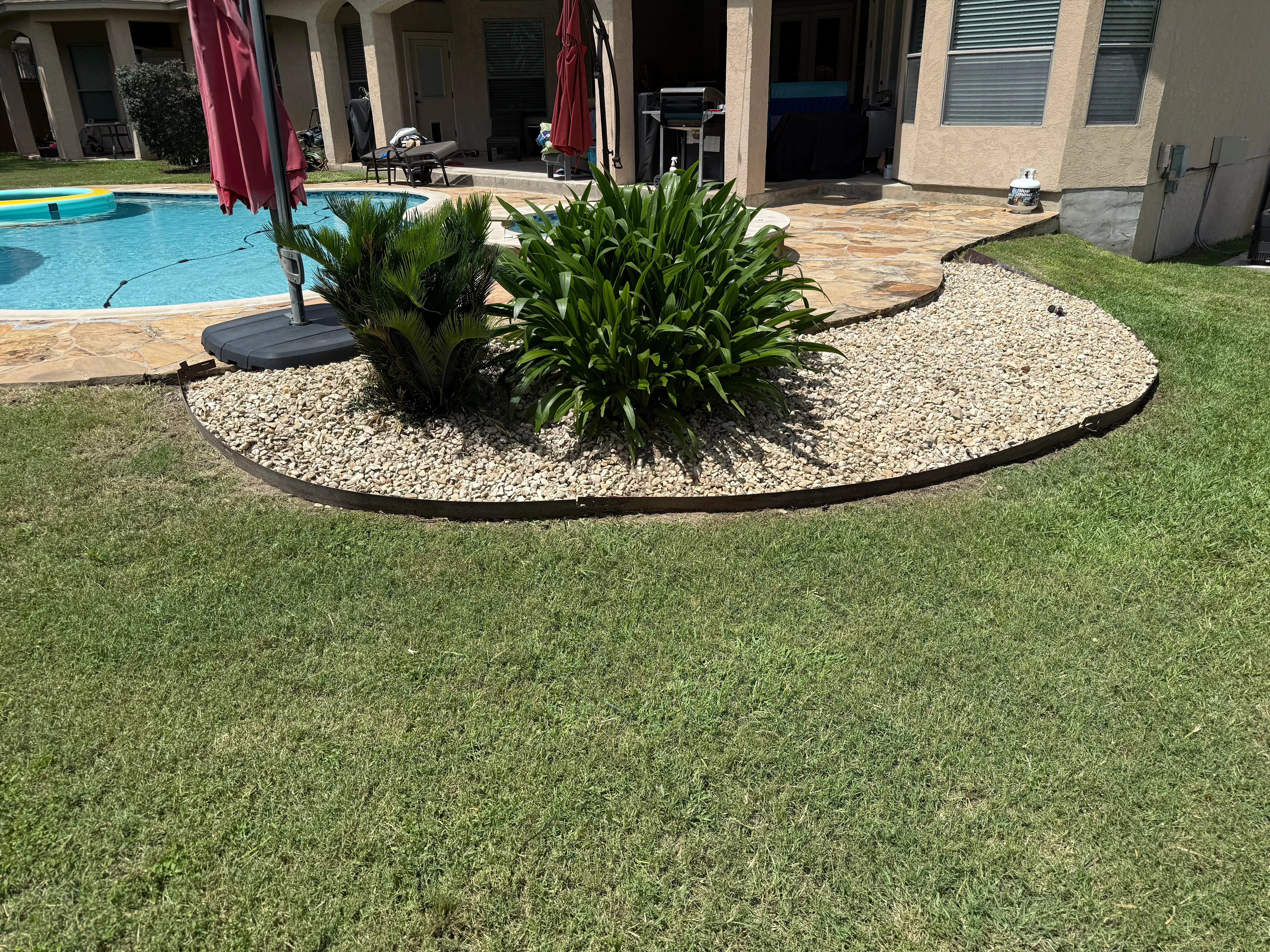 Backyard mowed grass empty of weeds