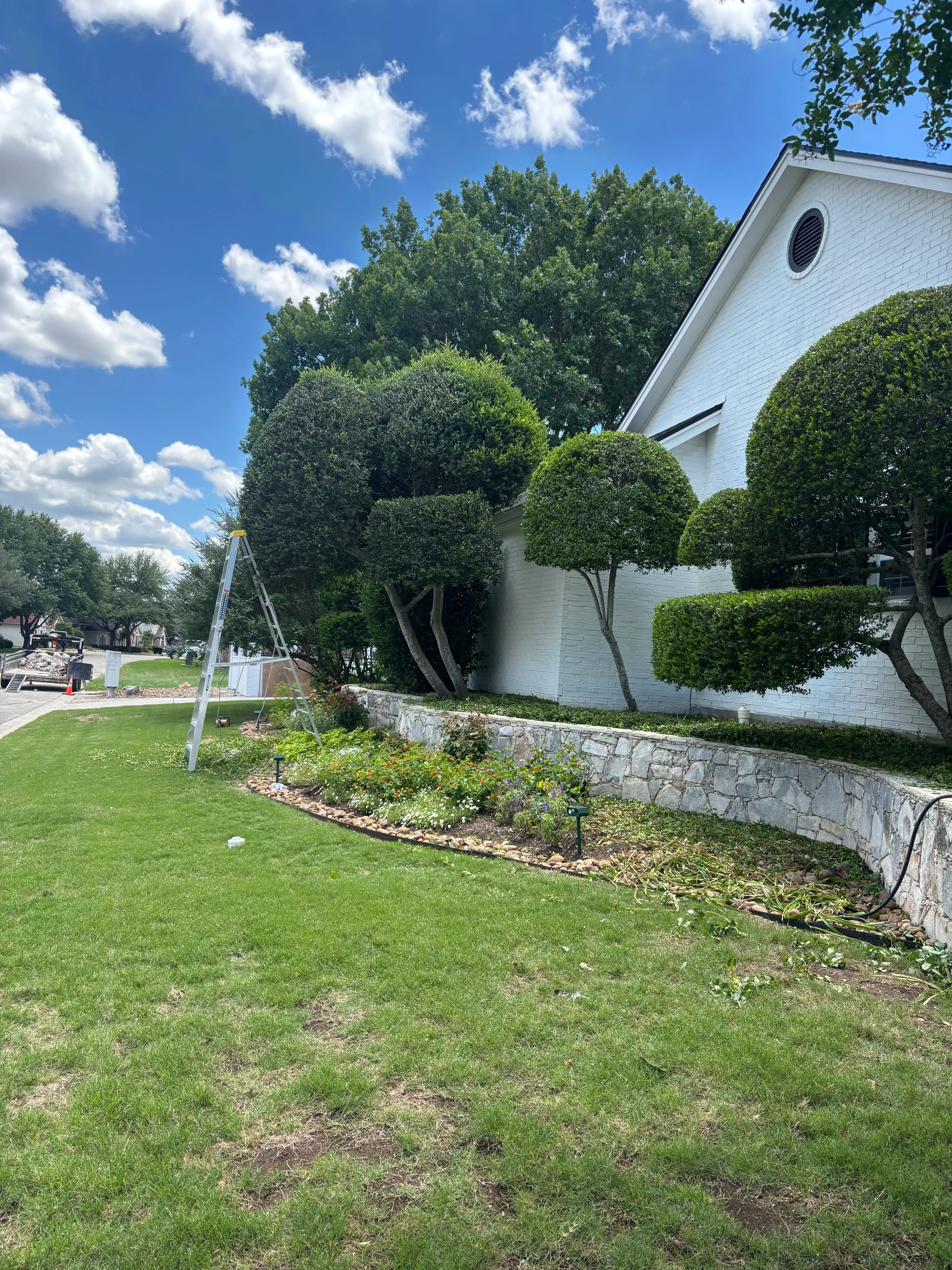 Mowed grass and trimmed topiaries on the side of a house.