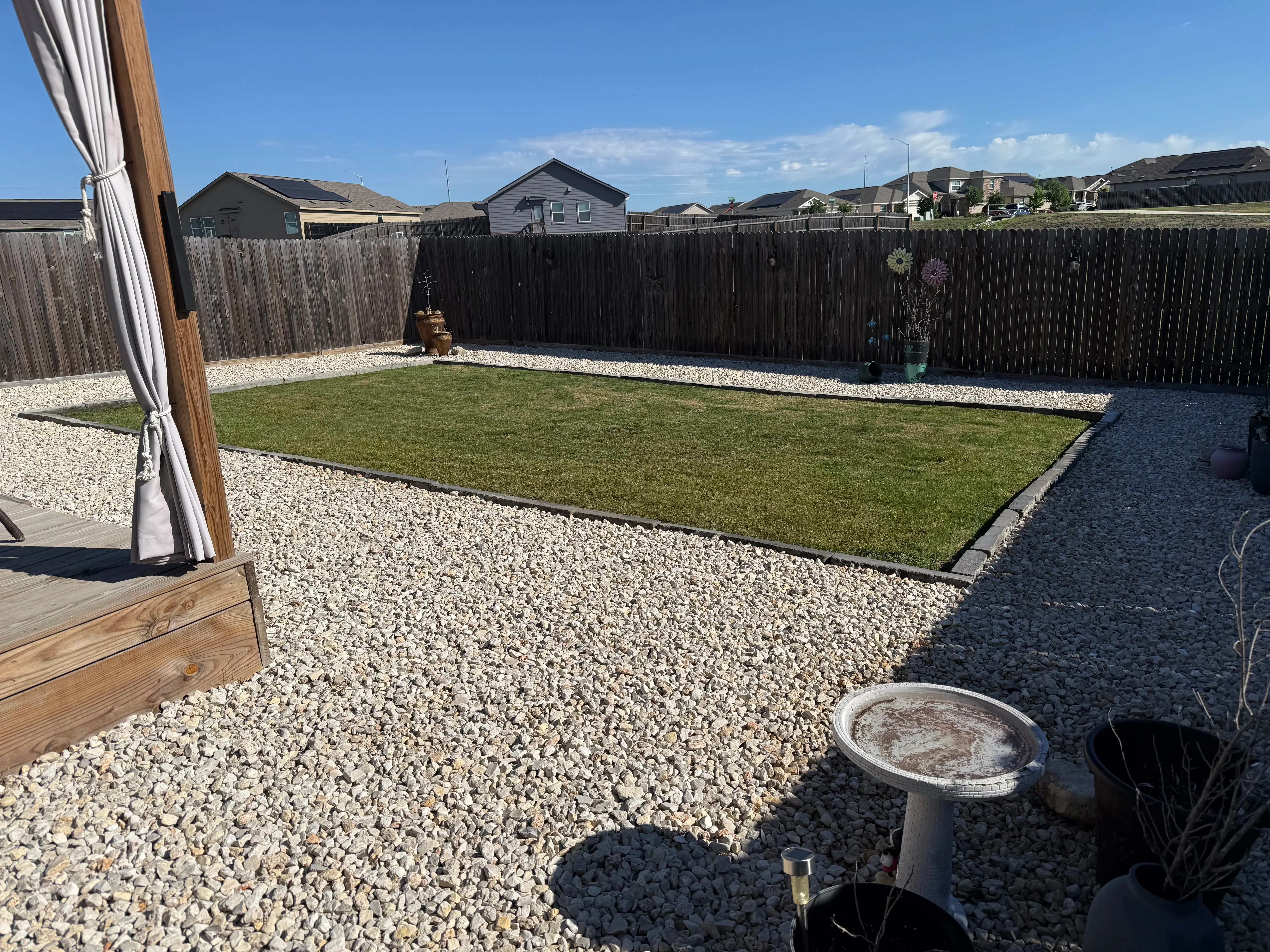 Mowed backyard grass section