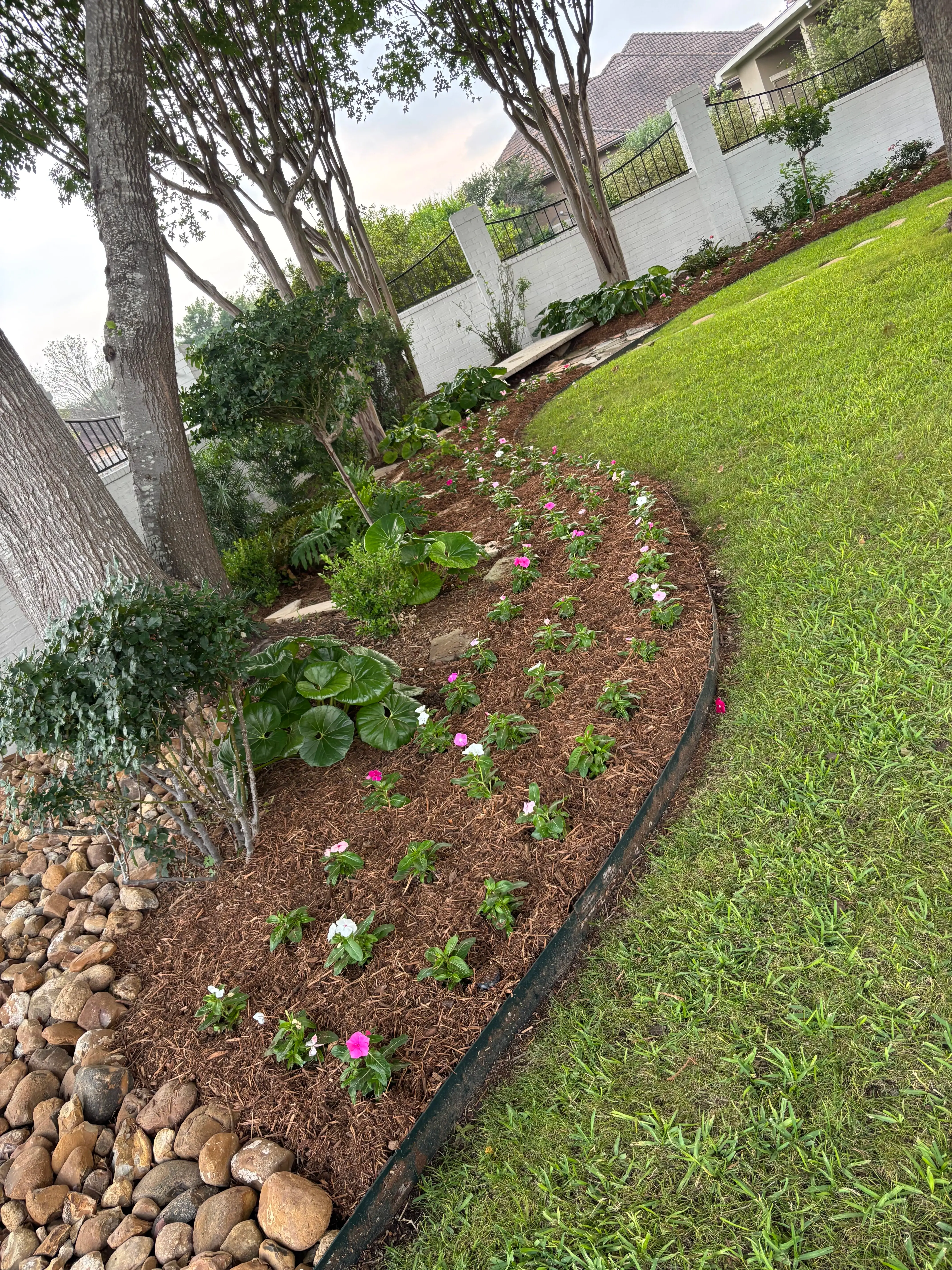 Flower bed and mowed grass alongside a tree in a backyard.