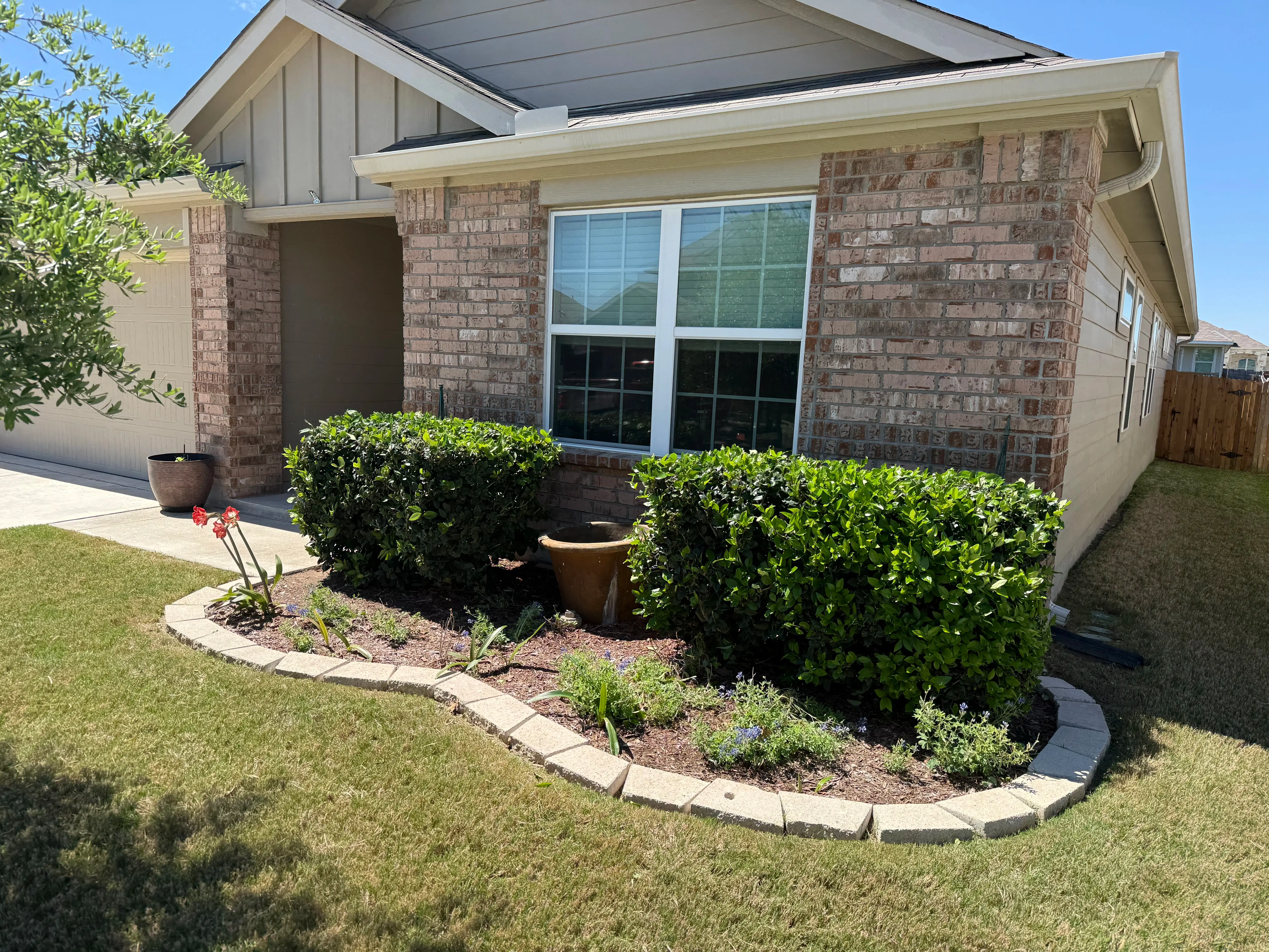 Trimmed bushes and mowed grass in front of a house